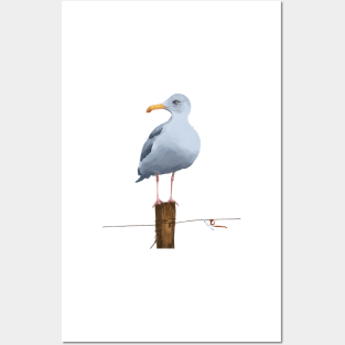 Big Seagull. Posters and Art